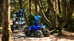 2024-yamaha-yfz50-24-eu-racing_blue-action-001-03 | q2moto