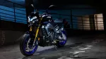 2024-yamaha-mt10dx-eu-icon_performance-static-005-03-jpg.webp | q2moto