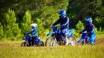 2024-yamaha-pw50-eu-icon_blue-static-003-03-jpg.webp | q2moto