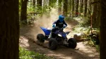 2024-yamaha-yfz450r-24-eu-racing_blue-action-001-03-jpg.webp | q2moto