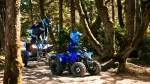 2024-yamaha-yfz50-24-eu-racing_blue-action-001-03-jpg.webp | q2moto