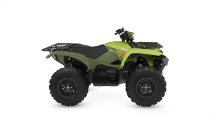 Green Yamaha Grizzly ATV shown in a side profile with front and rear cargo racks on a white background.